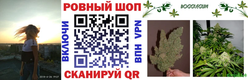 LSD-25 Александровск