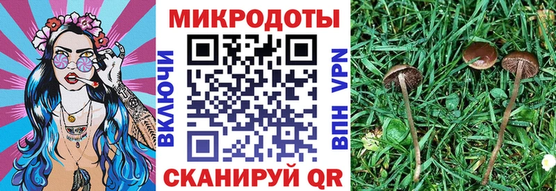 shop официальный сайт  как найти закладки  Александровск  Псилоцибиновые грибы мухоморы 